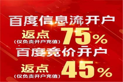 竞价广告案例分享：XX电商平台的成功秘诀